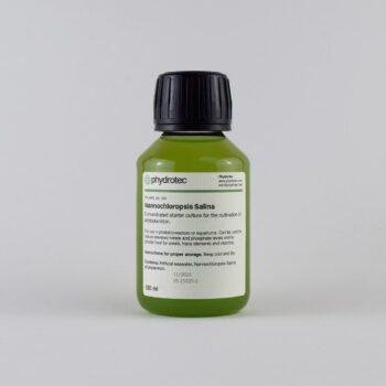 Nannochloropsis Salina – 100ml