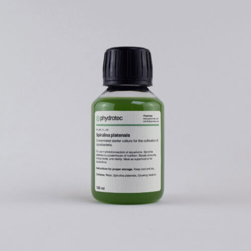 Levende Spirulina Platensis cyanobacterie startcultuur - 100 ml