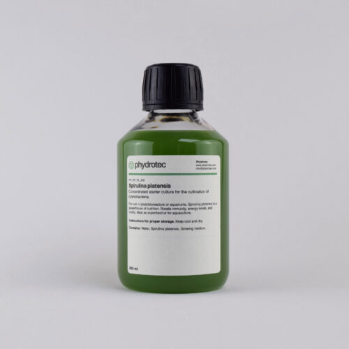 Levende Spirulina Platensis cyanobacterie startcultuur - 200 ml