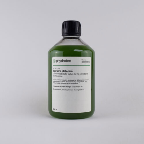 Levende Spirulina Platensis cyanobacterie startcultuur - 500 ml