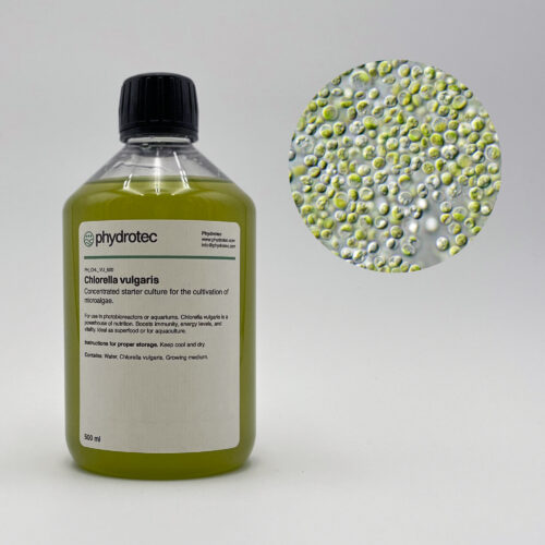 Levende Chlorella startcultuur – 500 ml.