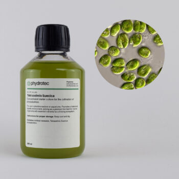 Tetraselmis Suecica – 100ml